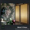 Metal X Glass